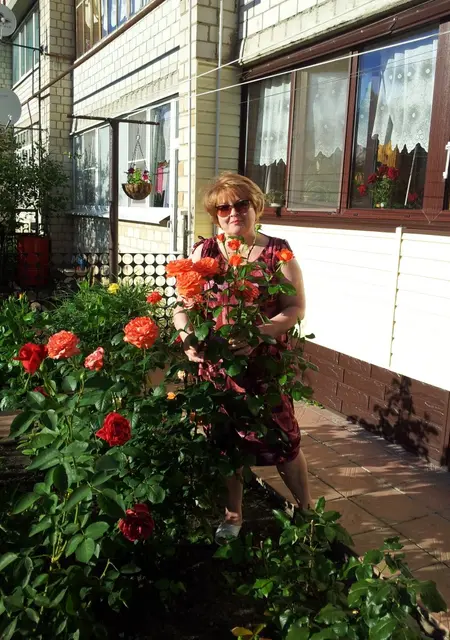 Я Нина, 61, знакомлюсь без обязательств в Тамбове